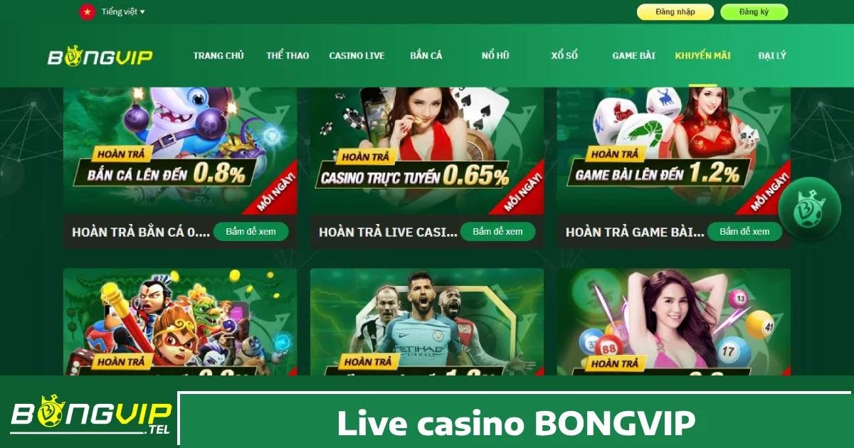 Tại sao nên chơi Live Casino Bongvip?