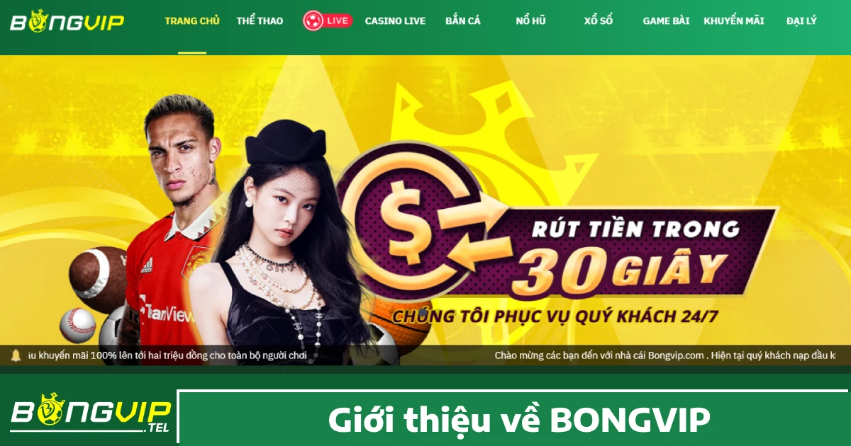 Bongvip là một trong những nền tảng cá độ hàng đầu hiện nay