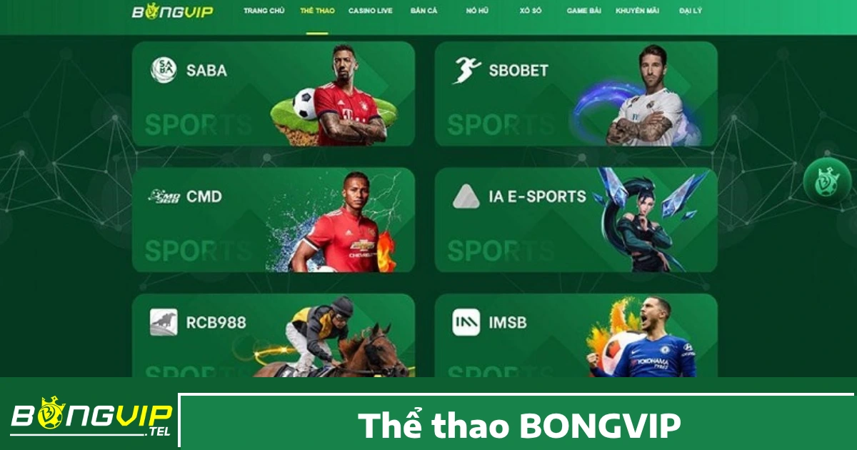 Cược thể thao là một trong những sản phẩm chủ lực và được Bong Vip đầu tư kỹ lưỡng