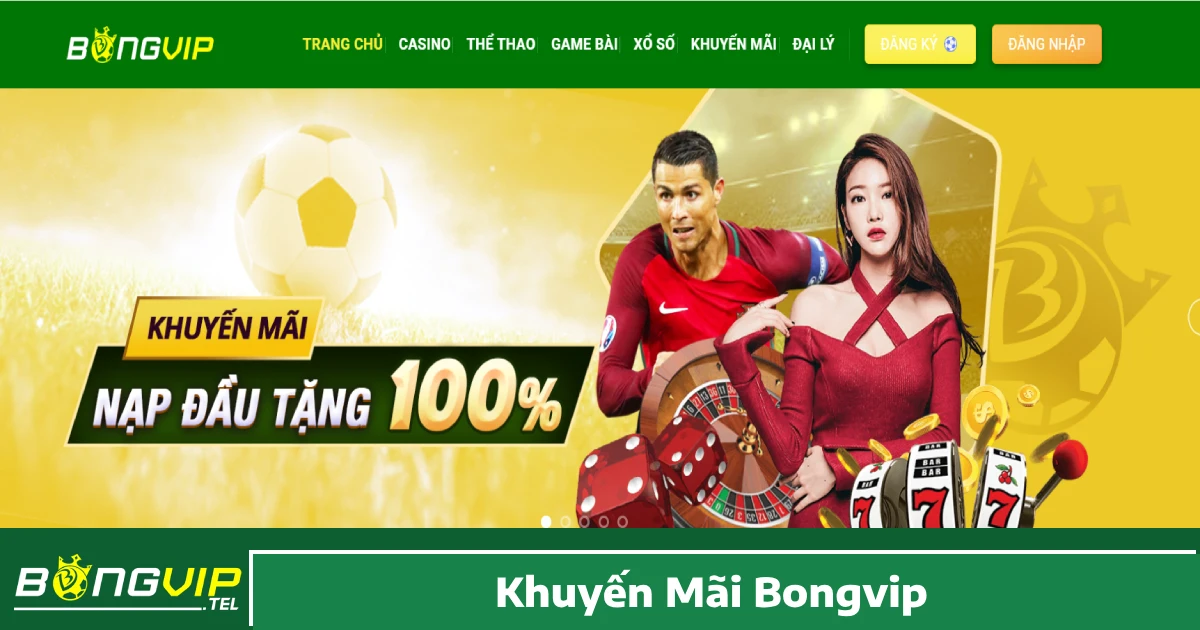 Bongvip mang đến nhiều chương trình khuyến mãi hấp dẫn