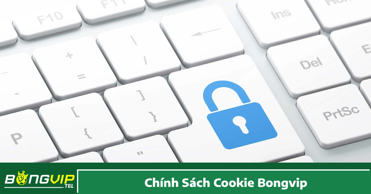 Chính Sách Cookie Bongvip Là Gì & Bongvip Sử Dụng Cookie Như Thế Nào?