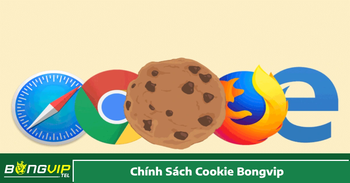 Các loại cookie mà hệ thống Bongvip thu thập