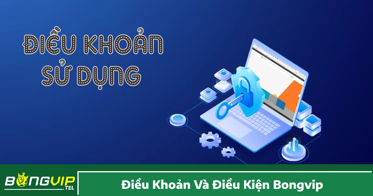Trách nhiệm của thành viên khi tham gia hệ thống