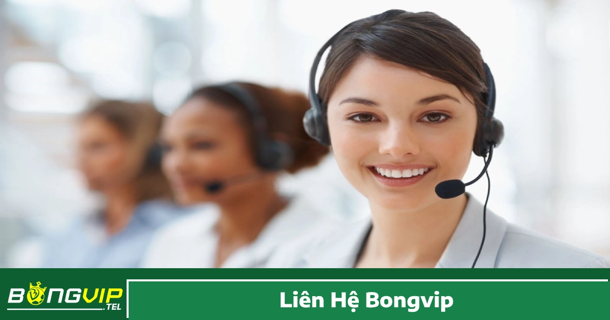 Cách Liên Hệ Đội Ngũ Hỗ Trợ Bongvip
