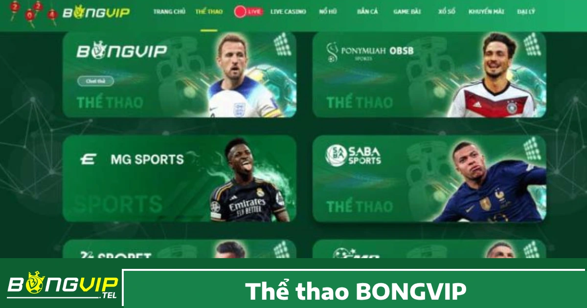 Vì sao nên chọn Thể thao Bongvip?